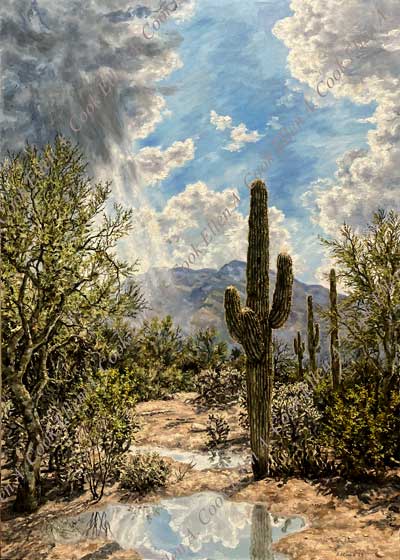 Ellen Cook watercolor of Tucson Sunset