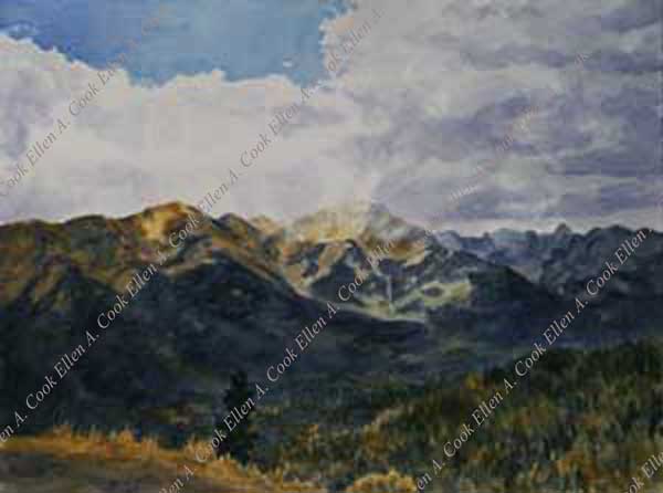 Rincon Mountains